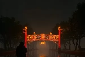纪录片候鸟的通讯录中成群候鸟掠过湿地水面的画面